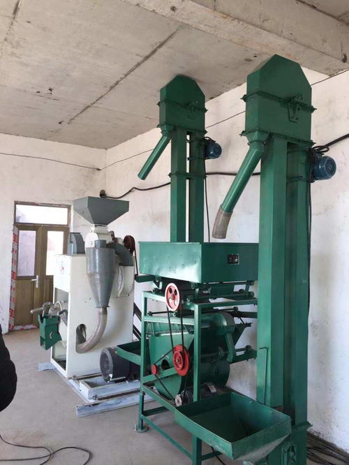 西藏自治区对辊脱壳机怎么买 临沂大华机械厂